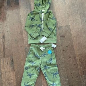 NWT Dinosaurs Hoodie and Jogger Sweats Set